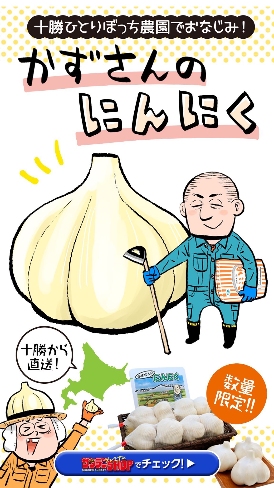 週末セール！早いもの勝ち！！】ひとりでしにたい 1-10巻セット 美品