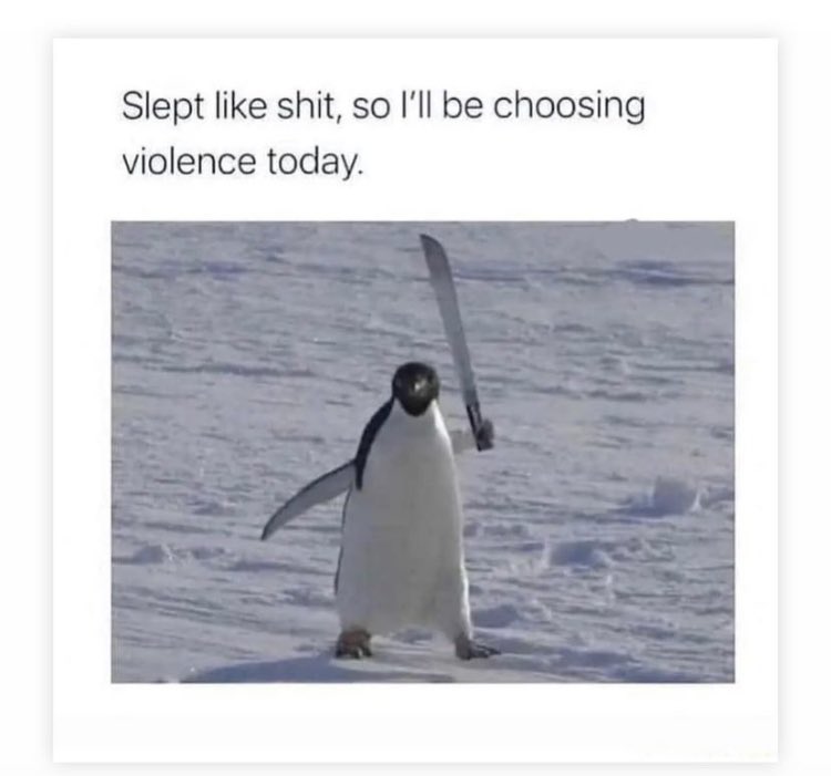 BeatBody's tweet image. 