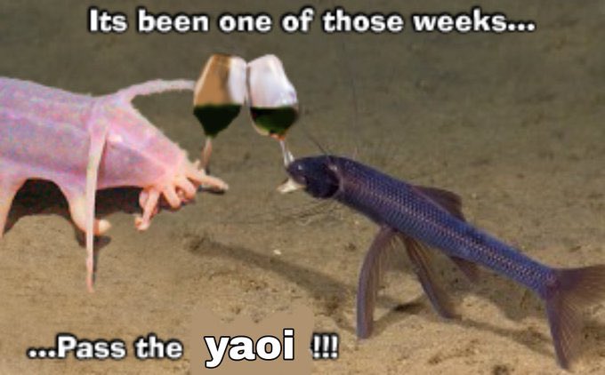 two bottom feeder fish clinking two wine glasses together, the caption reads 'Its been one of those weeks...  ...pass the yaoi!!!'