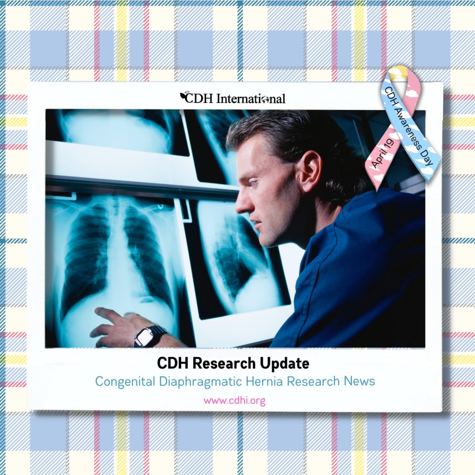 Passing Through a Hole: Delayed Diaphragmatic Hernia After Cytoreductive Surgery

cdhi.org/research-passi…

#cdh #cdhi #congenitaldiaphragmatichernia #cdhresearch #cdhiresearch #cdhiukresearch #cdhiuk