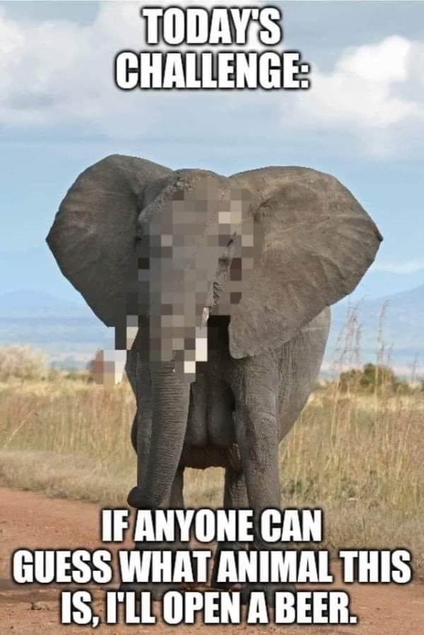 BeatBody's tweet image. 