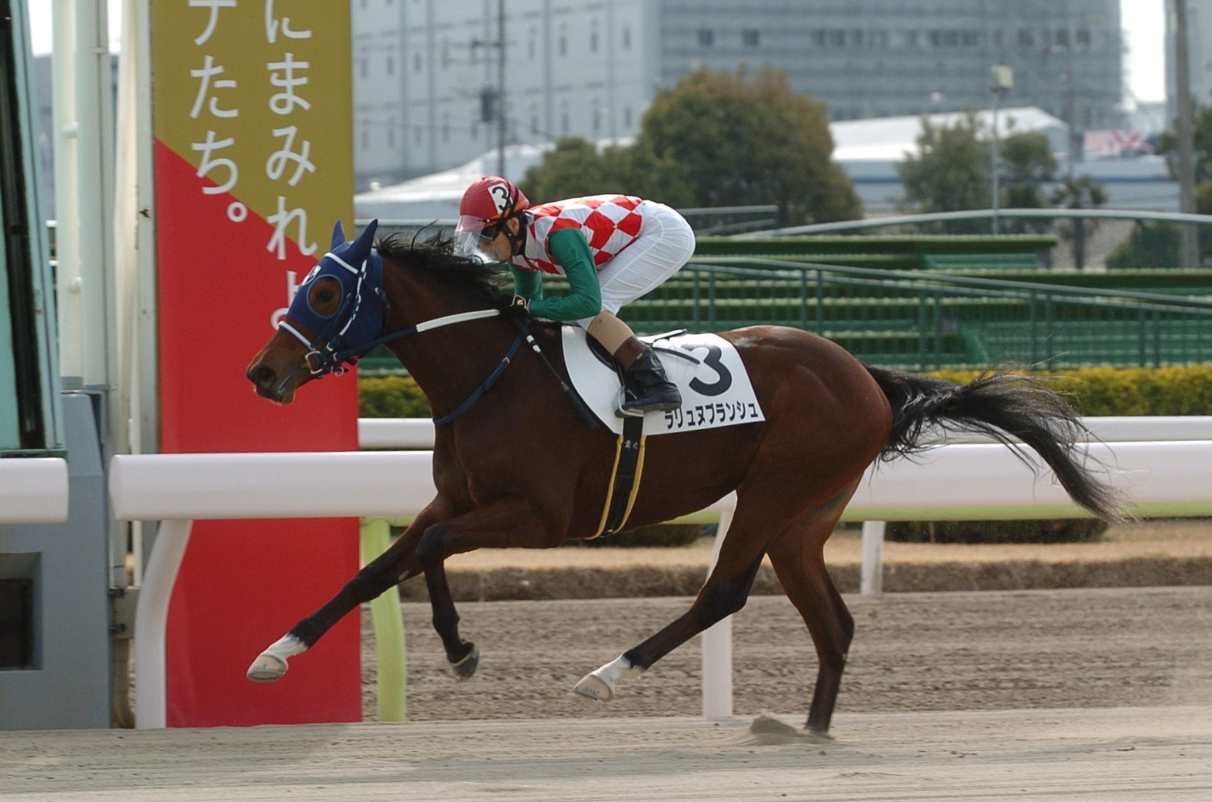 JRA 競馬 勝負服 キストゥヘヴン 吉田和子氏 中古 社台 安藤勝己騎手サイン JRA 競馬 勝負服 キストゥヘヴン 吉田和子氏 中古 社台 安藤勝己