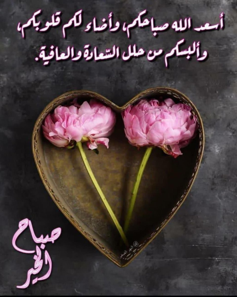ابورعدالعالمي tweet media