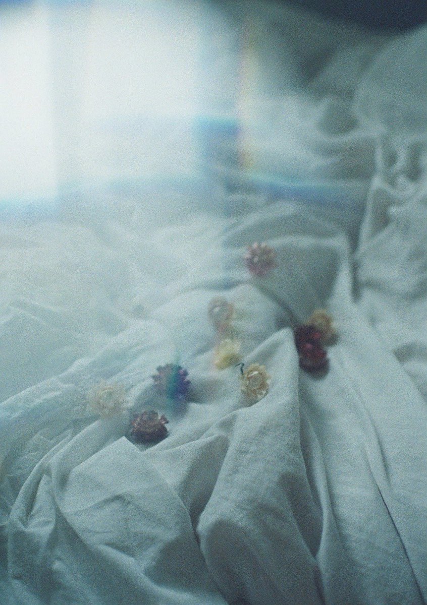 _______megane's tweet image. OLYMPUS PEN FTをお迎えして
ちょうど一年が経ちました。

このカメラは視覚で見えるものより
その場の空気感を写してくれるので大好きです。
これからもたくさん写真撮らせてね😊
ﾟ

めがね(  ⚯̱̈᷄  )
#film 
#ファインダー越しの私の世界