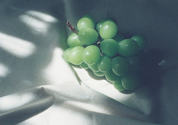 _______megane's tweet image. OLYMPUS PEN FTをお迎えして
ちょうど一年が経ちました。

このカメラは視覚で見えるものより
その場の空気感を写してくれるので大好きです。
これからもたくさん写真撮らせてね😊
ﾟ

めがね(  ⚯̱̈᷄  )
#film 
#ファインダー越しの私の世界