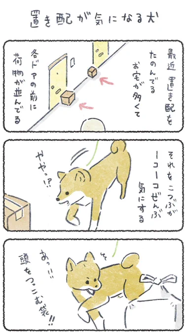 置き配が気になる犬リプにつづき貼ります#豆しばこつぶ 