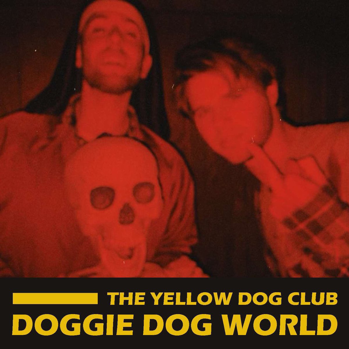 TYellowDogClub's tweet photo. Oh jeez oh gosh oh boy https://t.co/e2CY6V8yzc