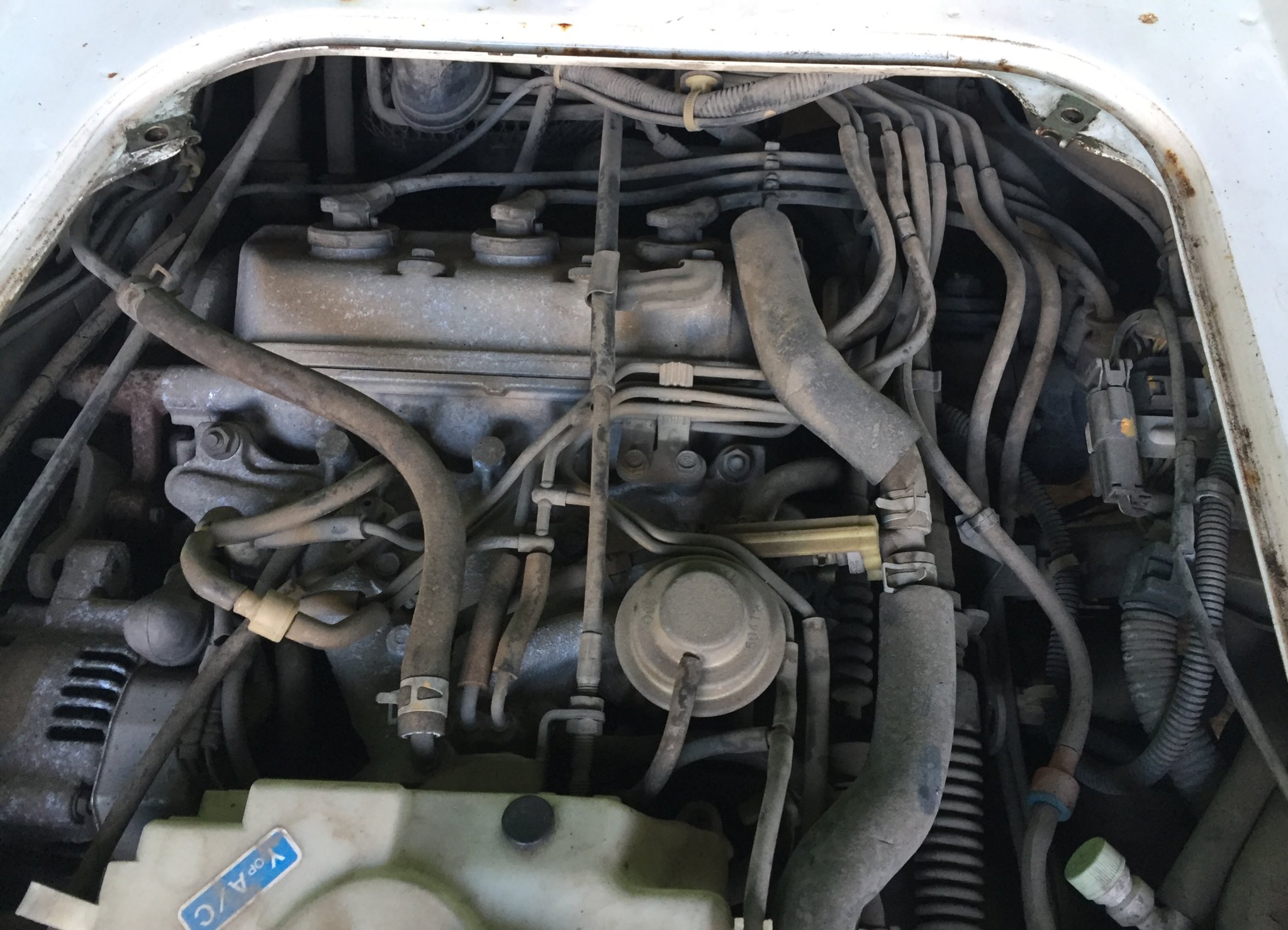 216moto おいちゃん バキュームホース 意外と本数あるなぁ 残り6本 入り組んでて 奥が見えん 社用車 軽トラ フルタイム4wd デフロック装備 バキュームホース シリコンホース 交換 T Co 9goyd0m9kq Twitter 216moto おいちゃん バキュームホース 意外と本数あるなぁ 残り6本 入り組んでて 奥が見えん 社用車 軽トラ フルタイム4wd デフロック装備 バキュームホース シリコンホース 交換 T Co 9goyd0m9kq Twitter