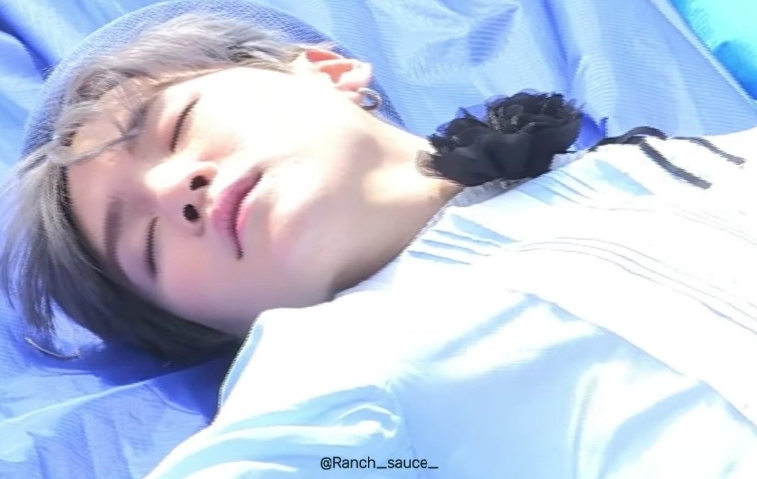 동화같아.ᐟ  🐹🐱