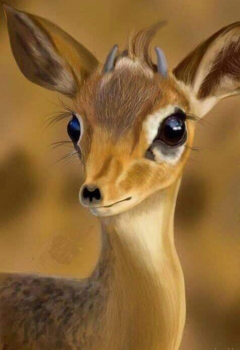 ragah90's tweet photo. #صباح_Iلخير

#يا_عسانا_عن_بعضنا_مانغيب*♡❤️

#صباح_الخير_والسعاده_والحب https://t.co/t8S21Lh4dD