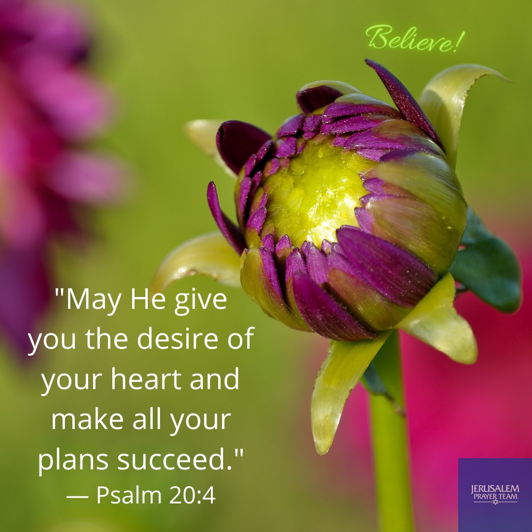 jerusalemprayer's tweet image. "May He give you the desire of your heart and make all your plans succeed."
—Psalm 20:4

#Matthew6v33 #YouAreLoved