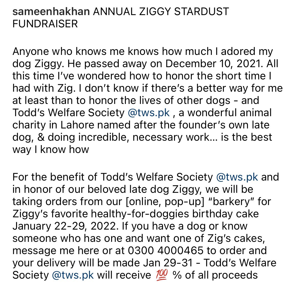 sameenhakhan's tweet image. For the benefit of Todd’s Welfare Society | Todd’s will receive 💯 % of all profits | I’ll be taking orders for my late dog Ziggy’s favorite healthy birthday cake from Jan 22-29, and deliveries will be made Jan 29-31 Insta is the best place to order instagram.com/sameenhakhan/p…