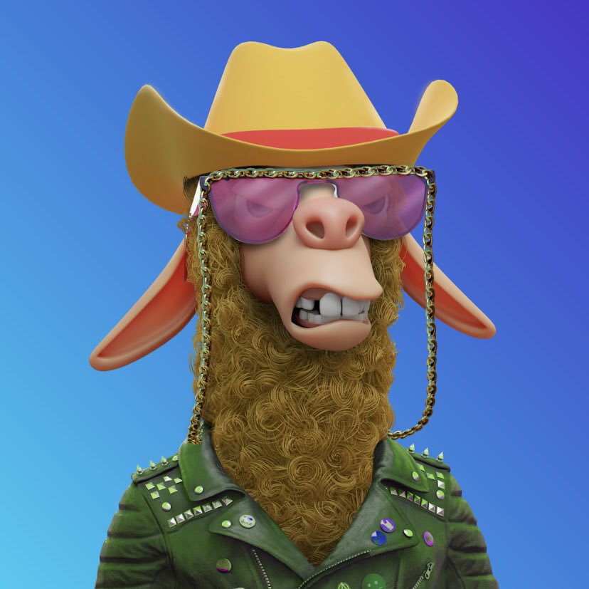 JoakoSpamer's tweet photo. @LaidBackLlamas @opensea Howdy from South Texas 🤠 https://t.co/OL9hZmP2vJ