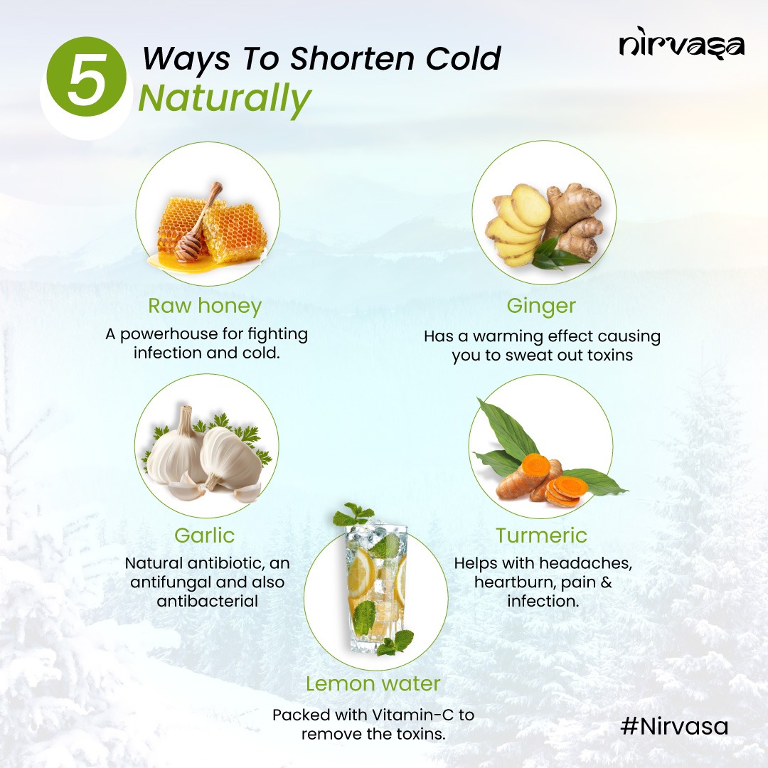 nirvasa_in's tweet photo. Natural ways to shorten a cold or flu and heal quickly. There's no need for drug store medications if you have these home remedies!
https://t.co/lTh20oUvlH
#nirvasa #cold #homeremedies #naturalremedies #homeremedy #naturalcures #naturalmedicine #health #ayurveda https://t.co/Qf1yzpfqsu