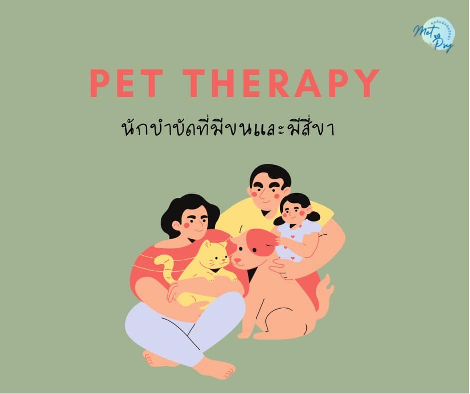 🐱 สัตว์เลี้ยงบำบัด (Pet Therapy) 🐶
🔅สัตว์สามารถช่วยในการรับรู้สัมผัส ให้สัมผัสที่อบอุ่น ปลอดภัย และเป็นมิตร เพิ่มแรงจูงใจในการทำกิจกรรมต่าง ๆ อย่างต่อเนื่อง 
facebook.com/photo?fbid=360…
อ้างอิงจาก : นพ.ทวีศักดิ์ สิริรัตน์เรขา จิตแพทย์เด็กและวัยรุ่น © แฮปปี้โฮมคลินิก