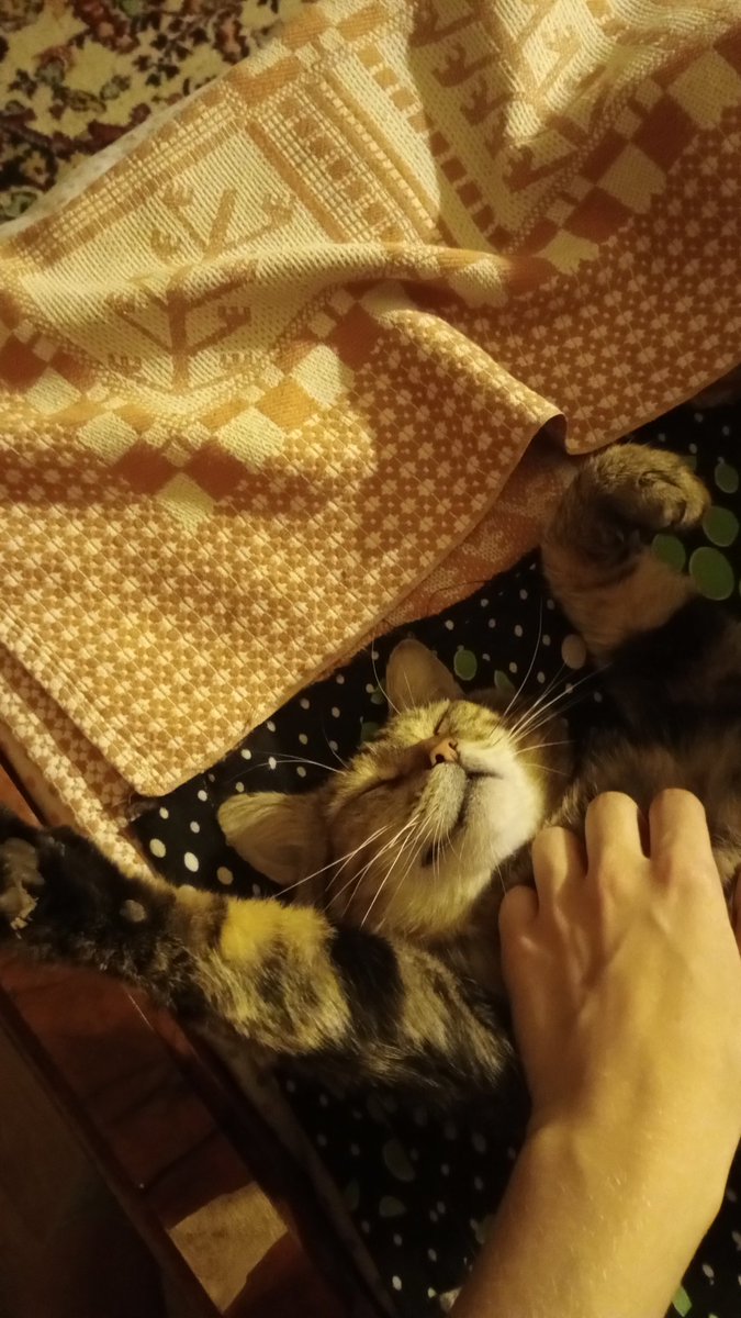 philosofiko tweet media