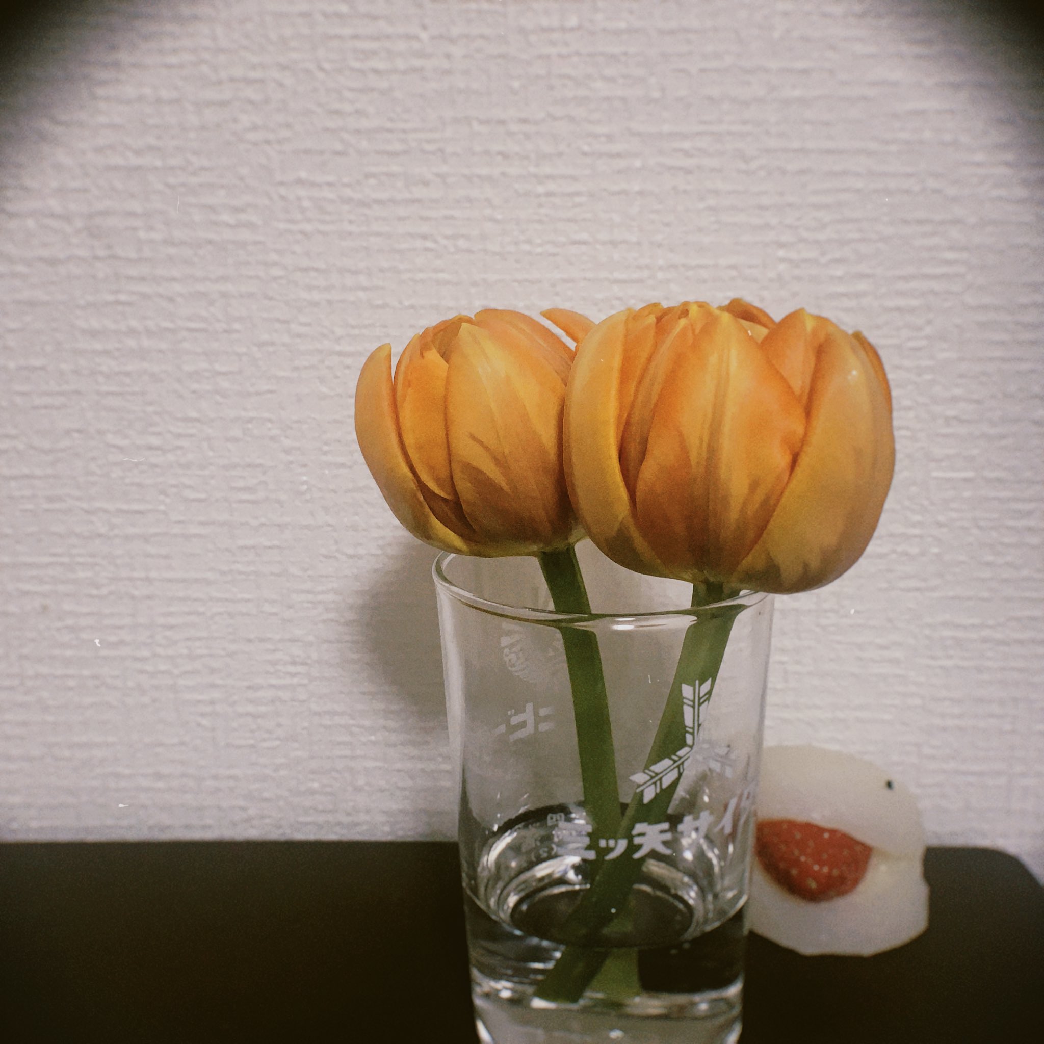 江戸うさぎ オレンジチューリップをいただきました 花言葉は照れ屋だそうです 心なしか妖怪大福も照れているような 今日もみなさまおつかれさまです コッソリ T Co Fbjgcbmvei Twitter 江戸うさぎ オレンジチューリップをいただきました 花言葉は照れ屋だそうです 心なしか妖怪大福も照れているような 今日もみなさまおつかれさまです コッソリ T Co Fbjgcbmvei Twitter