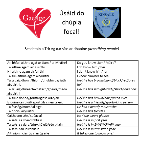 KinsaleComSch's tweet photo. Úsáid do chúpla focal! Seachtain a Trí.  Ag cur síos ar dhaoine - Describing people #KCS4Life #ÁrdTeanga #AnGhaeilge @gaeilgekcs https://t.co/cyerEd5p59