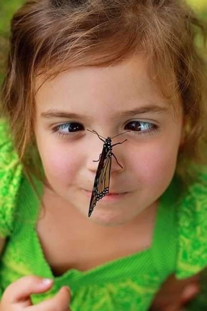 насекомые для детей. тропические бабочки. ребенок держит бабочку. малыш бабочка. мотылек для детей.