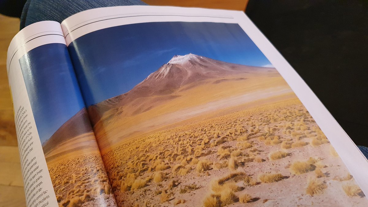 ★ govertschilling tweet media