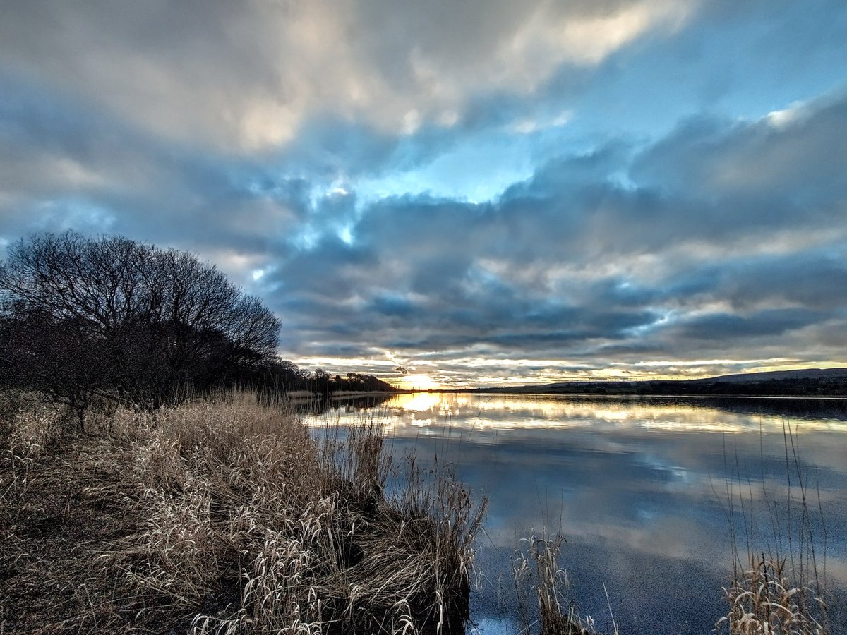 Andrew James tweet media