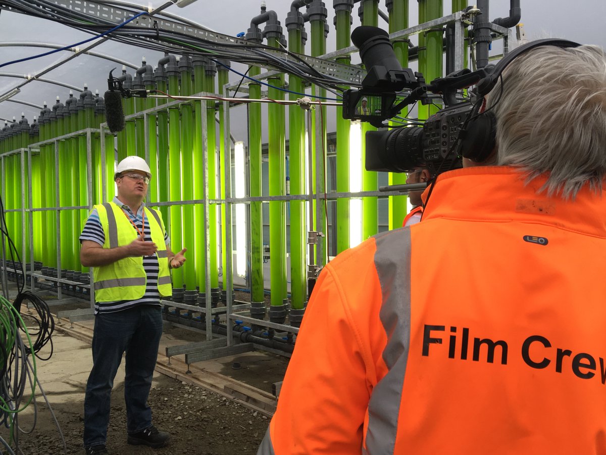 RICE_Cymru's tweet photo. A busy week ahead
25/26th we're contributing to #DecarbConnect conference https://t.co/umgUHtXd5O
And tomorrow will see the launch of #ServingSociety programme highlighting the RICE decarbonisation demonstrations in partnership with @IChemE and ITN Productions #algae #hydrogen https://t.co/8s2W6NClVv