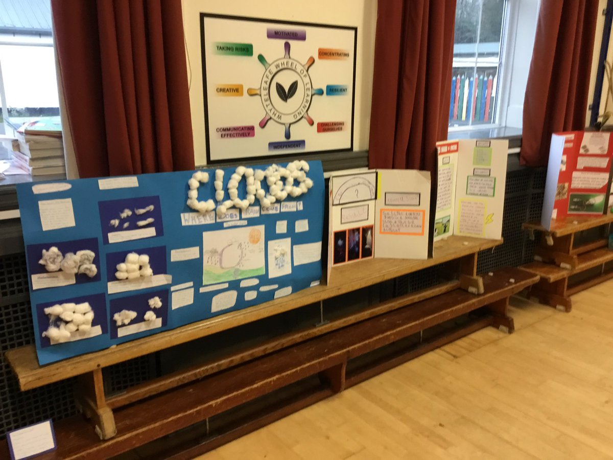 Just a few photos of our Science Fair project entries! There will be many more photos to follow!!