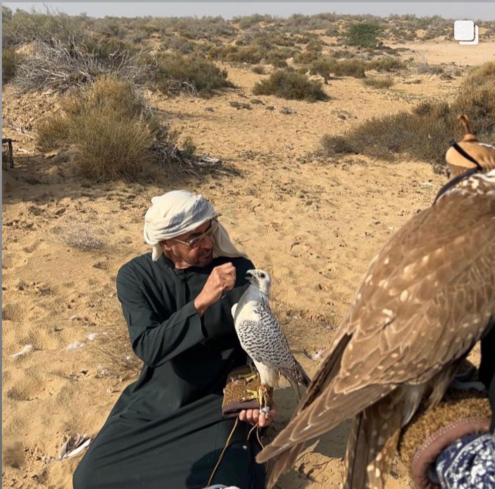 iBinThaleth's tweet image. بوخالد .. يدعس ذيول العقارب آمن حفيان
بهيبة سلطته ياطأ على الحيه و يامنها