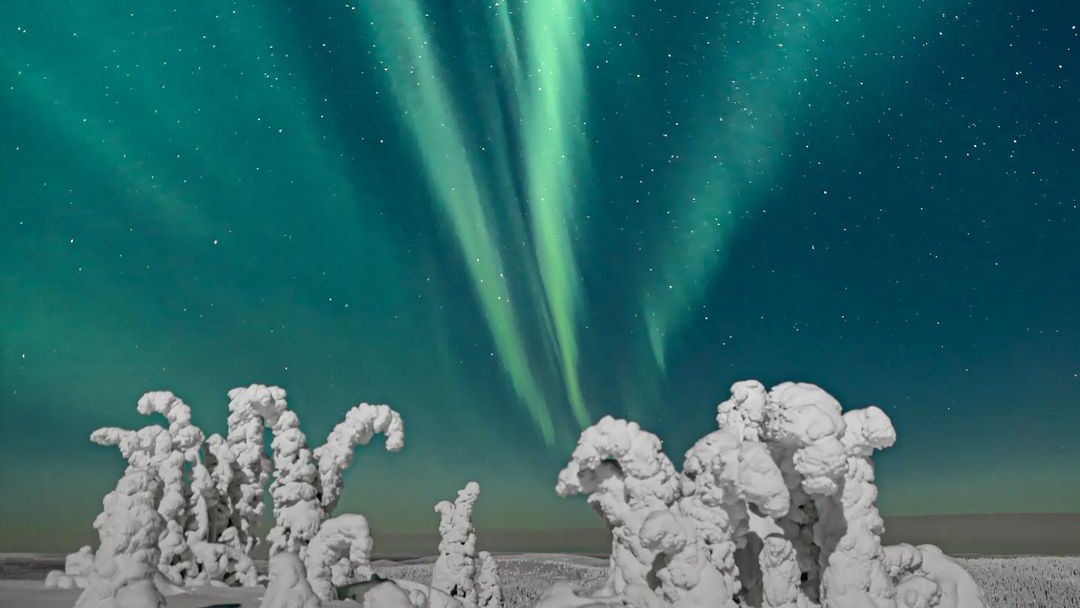 DiscoverFinland's tweet photo. Recent Aurora Borealis photos shared on IG by the mikko_pekkala, kinossafaris, laizak, and jaasiiim accounts, added to our Revontulet gallery: https://t.co/7cIvxKeDwc Learn more about where and when is best to see the Northern Lights in Finland: https://t.co/7y6LmZoXG8 https://t.co/nhTCOMFWAB