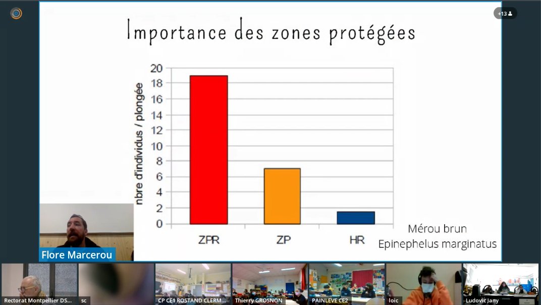 visiacad's tweet photo. Une quinzaine de classes et élèves empêchés, participent actuellement à l'atelier du Biodiversarium de Banyuls-sur-Mer, proposé par le pôle de visioconférence de @DANEMontpellier https://t.co/uPihgBprJy