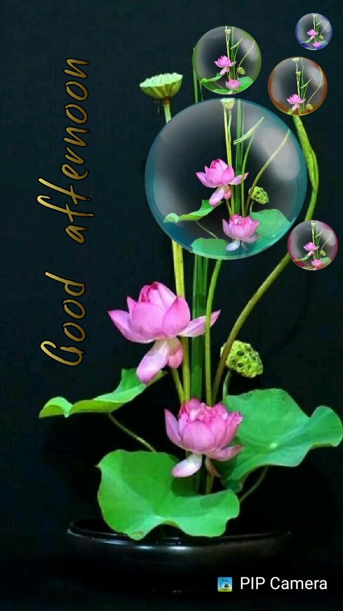 sanidisri's tweet photo. Friends!Have a beautiful Monday.
@111heavenearth
@SandraRoben 
@PinarAkal1 
@PardueSuzanne 
@father_fraud 
@LoveSongs4Peace 
@Philippe4269 
@otrogoga60 
@vichecoronel 
@Charlypool222 
@miaviktoriasch 
@HelenRPerez1 
@LisaSArden1 
@neuekaz 
@MTomtomclub 
@anissacofficial 
@iMJS__ https://t.co/f2zBt1DjT6