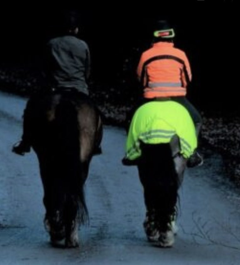 Ayse Sonmez tweet media