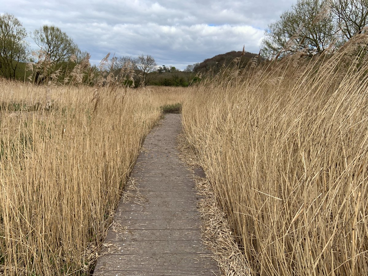 Bristol Parks tweet media