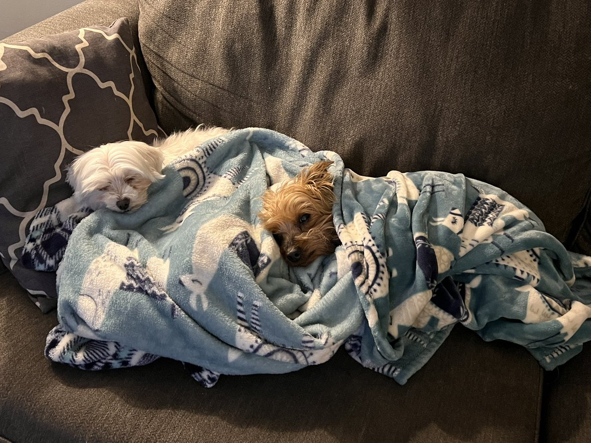 DaytonsRealtor1's tweet photo. Chillin!! https://t.co/pPeSaPCn4x