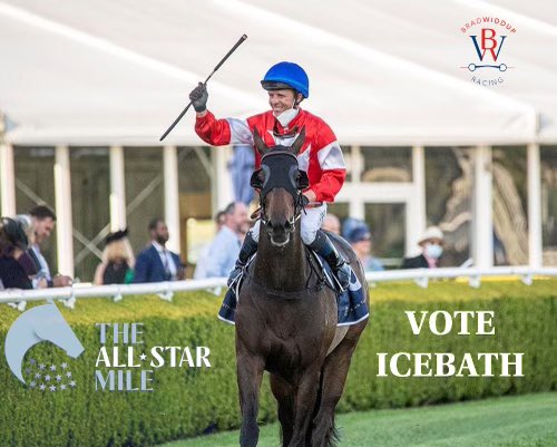 Voting is now open! 🧊🛁 allstarmile.com.au/horse-profiles… #allstarmile
