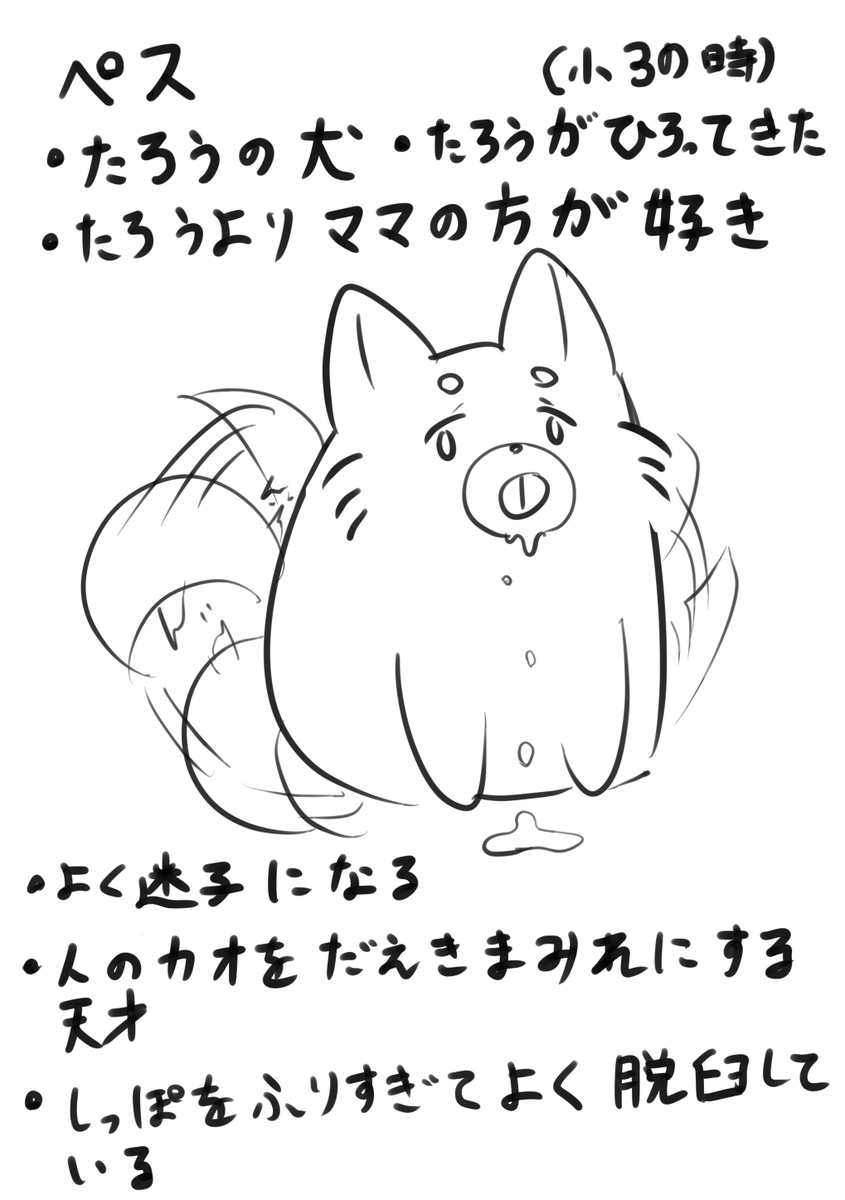ワンディス 
