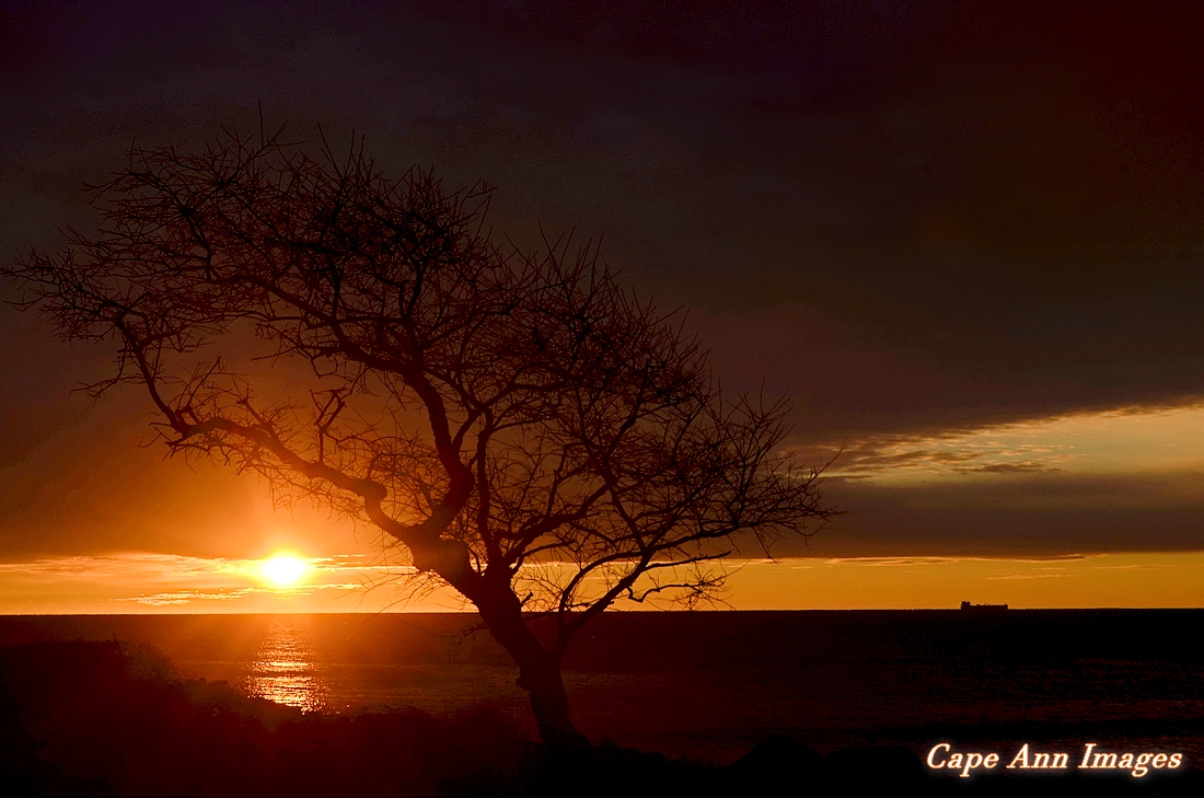 Cape Ann Images: January Daybreak and Then Some! capeannimages.blogspot.com/2022/01/januar…