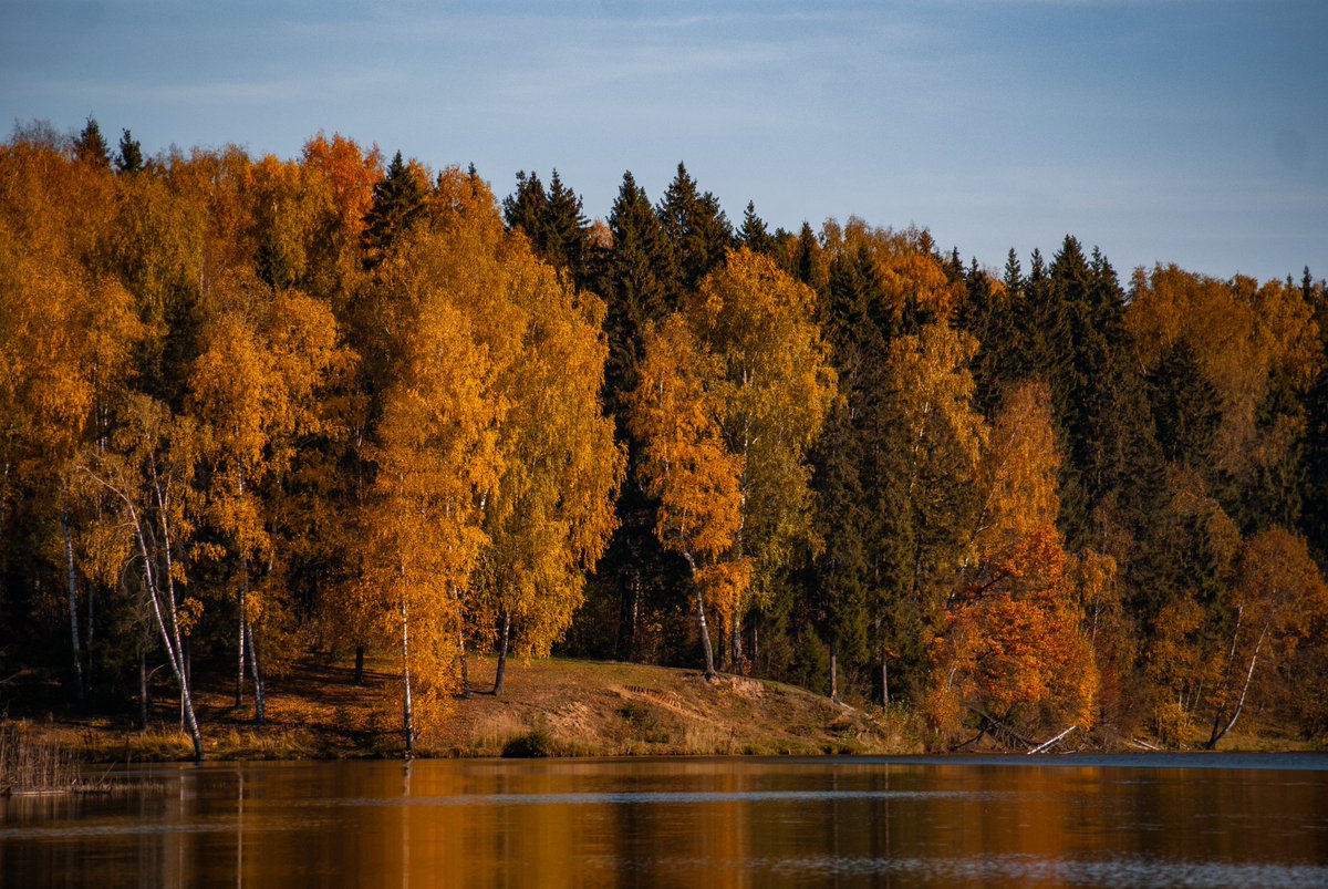 creowork's tweet photo. Золотая осень. Сергиев Посад. Лесное озеро.
#photography #nature #autumn https://t.co/ZvkKDRcNED
