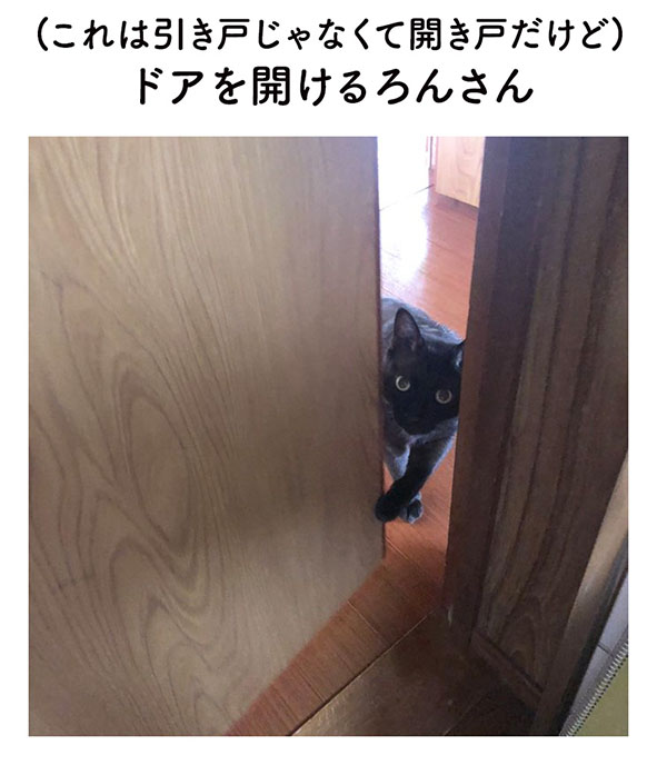 飼い主「半分冗談だったのに…」 猫に助けを求めたら、反応がすごすぎた! https://t.co/qDgseZ68qu @grapeejpより 