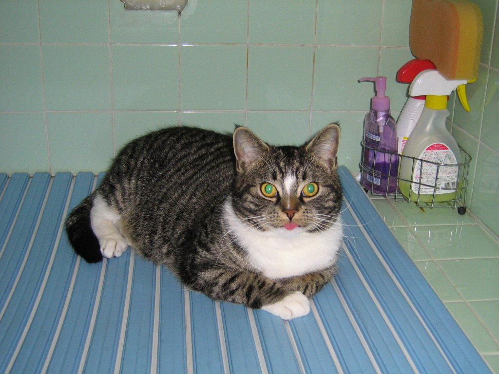 Marquis De Spacito Triocton Twitter Marquis De Spacito Triocton Twitter