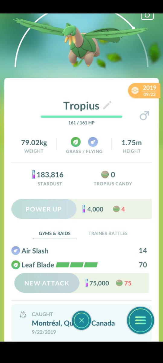 LilNiimi's tweet photo. @TropiusFanClub This was quite the event. Zero regrets since then.

#GBL #PokemonGO #Pokemon #tropics https://t.co/U8lUIIyEwX