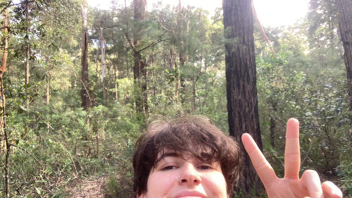 olive_ecology's tweet photo. Fieldwork has been challenging lately - but I think the pandemic backdrop has been making it worse. Still, I’m trying to find delight in the little things, and I’m very lucky to be working in such beautiful remnants. #ecology #sleepy #fieldworkchronicles https://t.co/vrkEzj6rl7