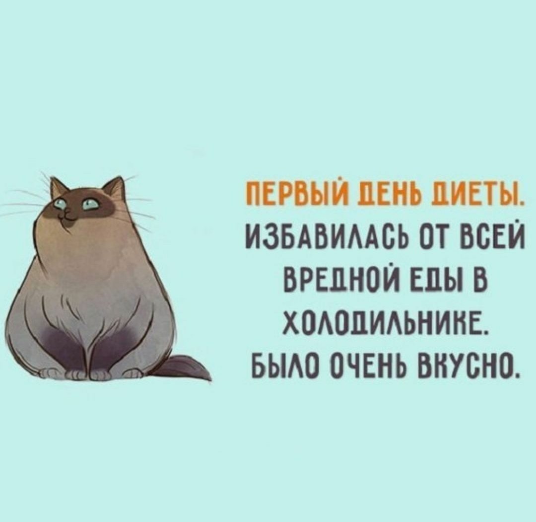 Приколы про похудение