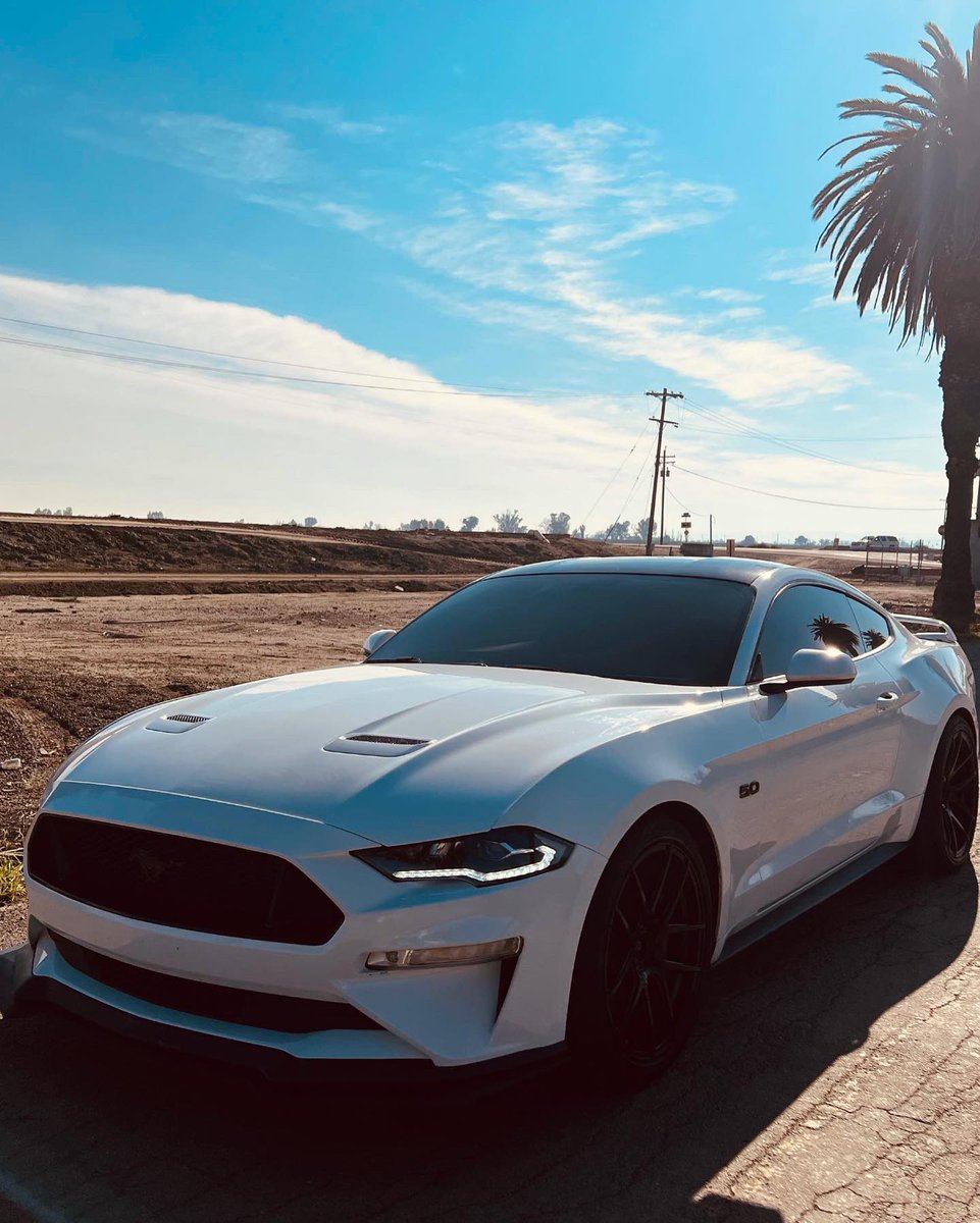 Andrex Herrer tweet media