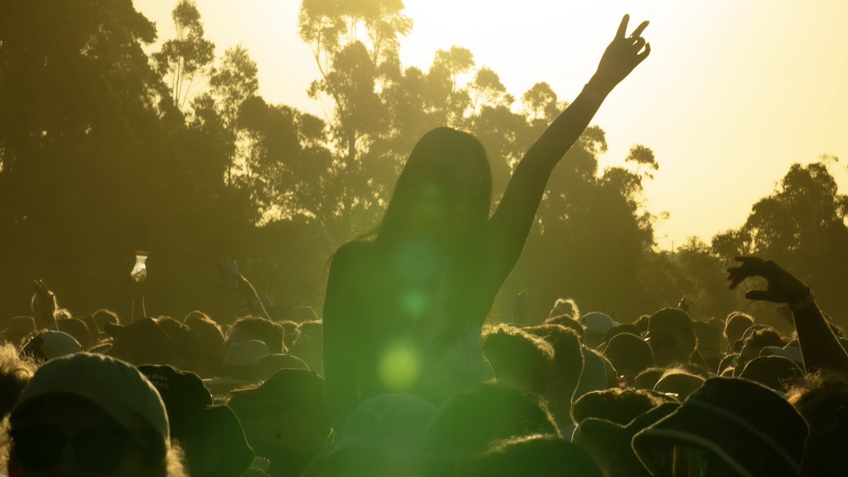 Golden hour at Grapevine VIC 🥂