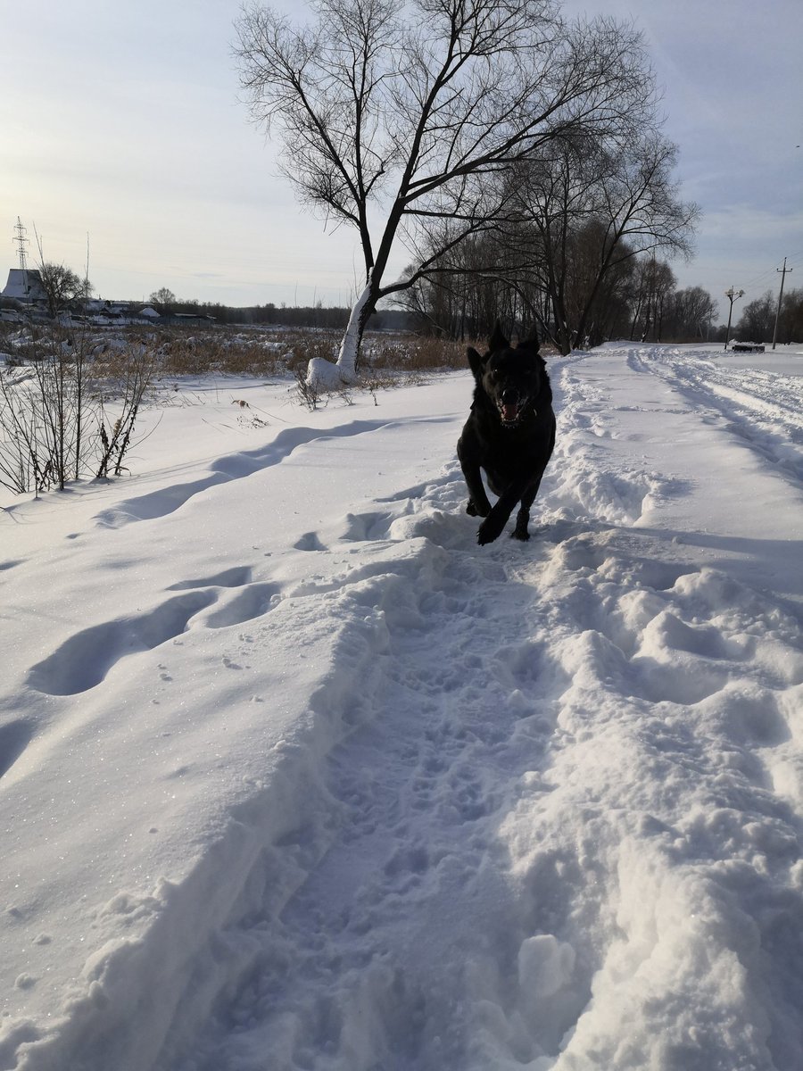 Boris Kapkov (@boris_kapkov) on Twitter photo 