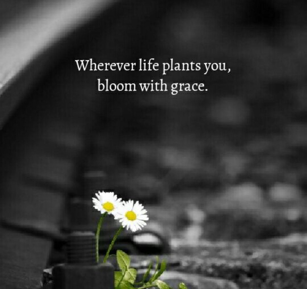 styvostik's tweet photo. #Godfidence 
#Mercyfull 
#Noiselessexpansion https://t.co/GTTAIwUBDP