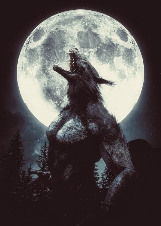 "We always Run for Cover as the Beast Within Ourselves comes out to Hunt it's Prey.."

{Wiccan Lupine}

- Witch-Werewolf Hybrid OC
- Fandomless #RP
- Descriptive Writer
- Mature Content 18+(No minors allowed. Especially for smut)
- RT

#Døgma