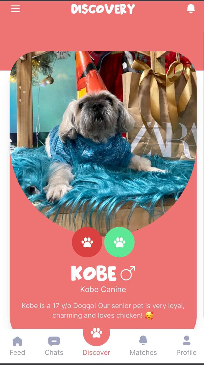 Petspaceph's tweet image. WHY Petspace?

Petspace has a unique and one of a kind &quot;adopt me&quot; 
feature that let pet owners/animal shelters showcase their pets that are up for adoption. #adoptDontshop
How?
Sign up using your email to register! you only need one email to create multiple profile for your pets