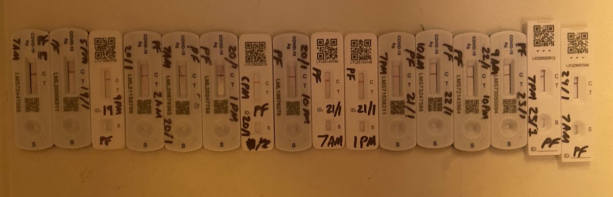 Peter Fellows tweet media